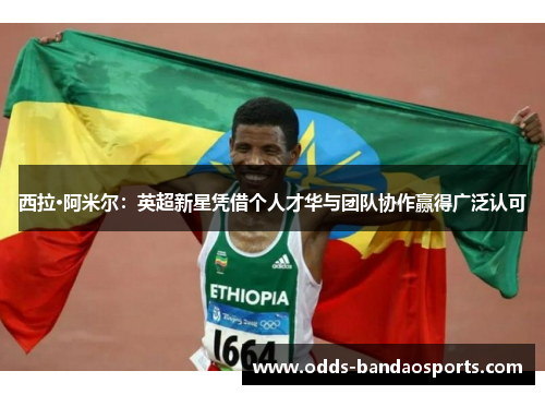 西拉·阿米尔：英超新星凭借个人才华与团队协作赢得广泛认可