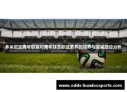多米尼加青年联赛对青年球员职业素养的培养与发展路径分析