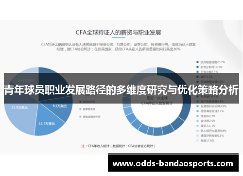 青年球员职业发展路径的多维度研究与优化策略分析