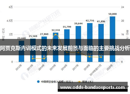 阿贾克斯青训模式的未来发展前景与面临的主要挑战分析