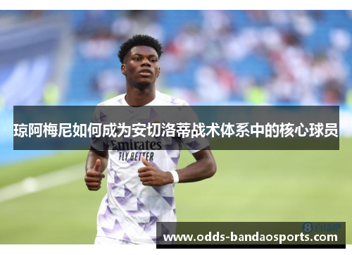 琼阿梅尼如何成为安切洛蒂战术体系中的核心球员