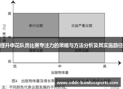 提升申花队员比赛专注力的策略与方法分析及其实施路径