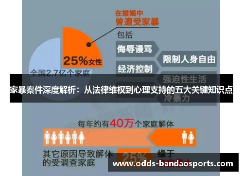 家暴案件深度解析：从法律维权到心理支持的五大关键知识点