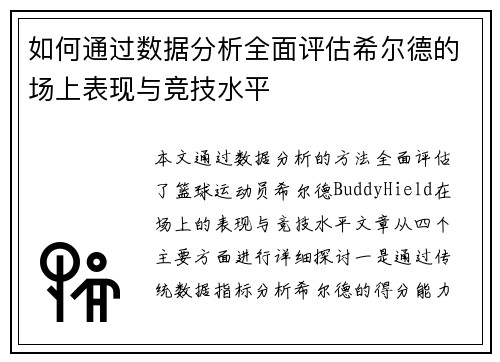 如何通过数据分析全面评估希尔德的场上表现与竞技水平