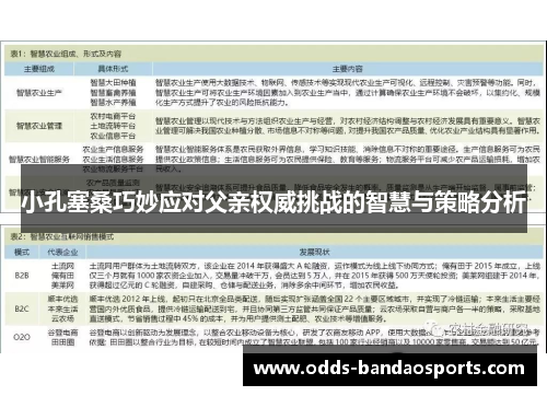 小孔塞桑巧妙应对父亲权威挑战的智慧与策略分析