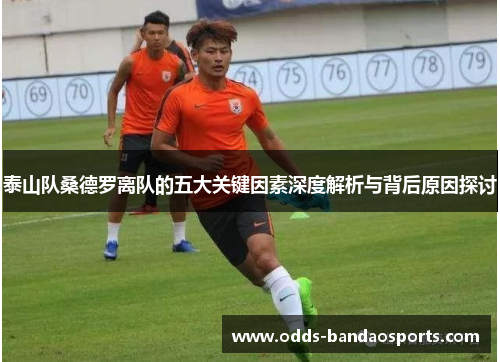 泰山队桑德罗离队的五大关键因素深度解析与背后原因探讨