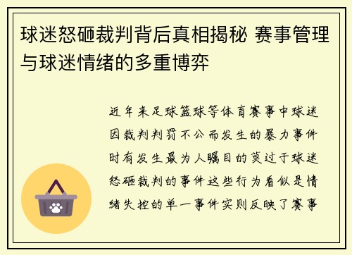 球迷怒砸裁判背后真相揭秘 赛事管理与球迷情绪的多重博弈