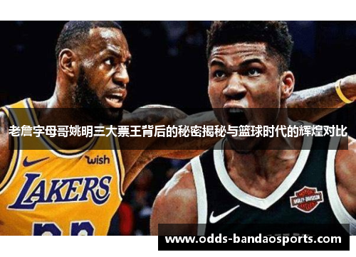 老詹字母哥姚明三大票王背后的秘密揭秘与篮球时代的辉煌对比