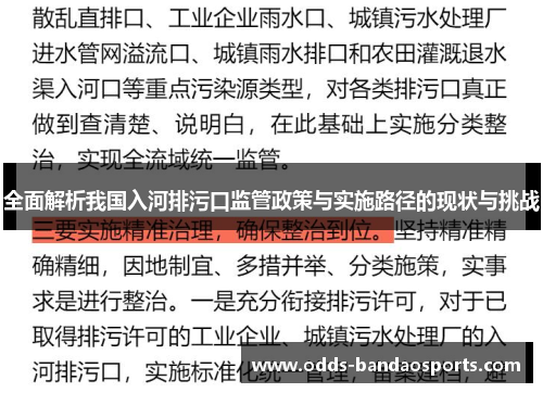 全面解析我国入河排污口监管政策与实施路径的现状与挑战