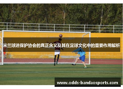 米兰球迷保护协会的真正含义及其在足球文化中的重要作用解析